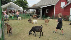 Meyer Petting Zoo