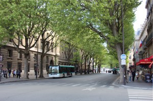 Paris en vacker grön stad