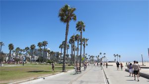 Cykeltur till Venice beach