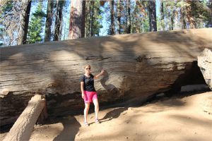 Christina vid ett litet träd i Yosemite National Park