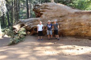 Michael Glenn och Kevin vid ett annat litet träd i Yosemite National Park