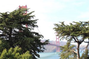 Golden Gate Bridge